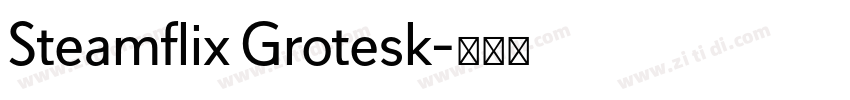 Steamflix Grotesk字体转换